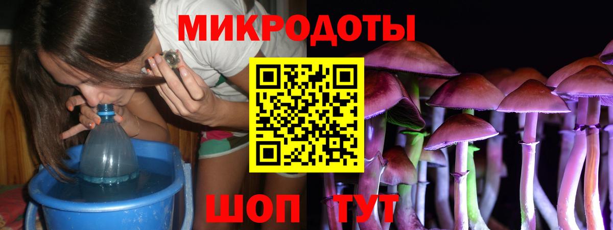 Елец  купить наркотики цена  Вход с VPN  Псилоцибиновые грибы прущие грибы 